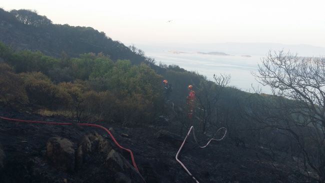 Η Ελληνική Ομάδα Διάσωσης επιχειρεί στην πυρκαγιά της Ουρανούπολης στην Χαλκιδική