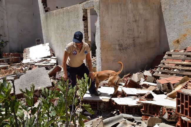  12 σκύλοι έρευνας & διάσωσης της Ελληνικής Ομάδας Διάσωσης εκπαιδεύονται στο Χορτιάτη 