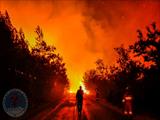 Η Ελληνική Ομάδα Διάσωσης στα μέτωπα της φωτιάς στη Θάσο