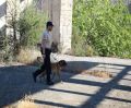 Ο Ιερόθεος Δουμένης, από το παράρτημα του Άργους, με τον σκύλο Δία